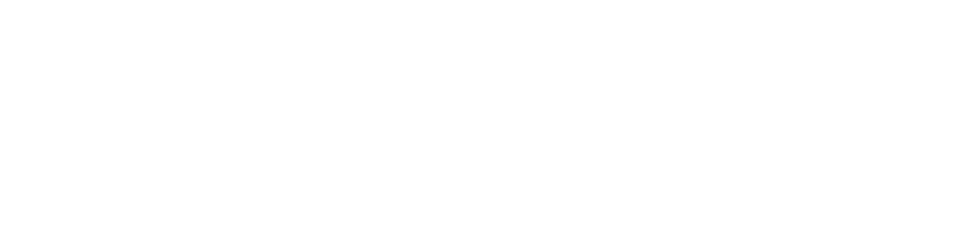 COCONOA Bikini